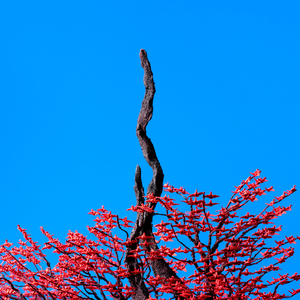 性医院网址大全
