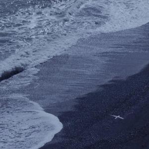 性医院网址大全
