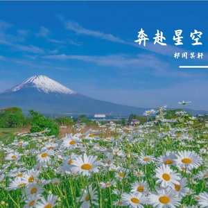 性医院网址大全
